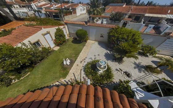 Villa de 3 chambres à Torrevieja - IMC78810 - Photo - Small - 45