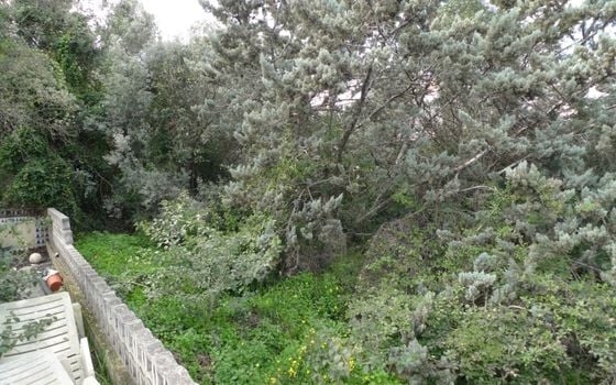  Pozemek v Orba- PGP80763 - Foto - 3