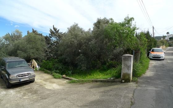  Pozemek v Orba- PGP80763 - Foto - 1