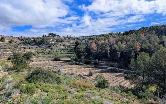  Pozemek v Benissa- CBP80902 - Foto - Small - 14
