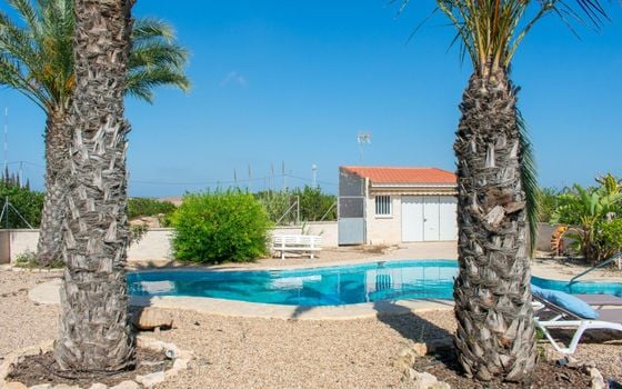 Villa de 3 chambres à Guardamar del Segura - SV81250 - Photo - Small - 39