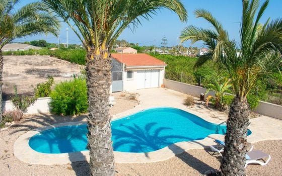 Villa de 3 chambres à Guardamar del Segura - SV81250 - Photo - Small - 49