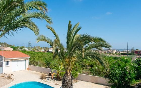 Villa de 3 chambres à Guardamar del Segura - SV81250 - Photo - Small - 50