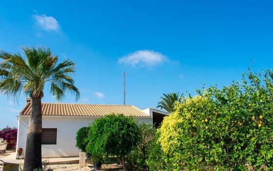 Villa de 3 chambres à Guardamar del Segura - SV81250 - Photo - Small - 47