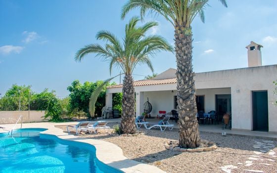 Villa de 3 chambres à Guardamar del Segura - SV81250 - Photo - Small - 33