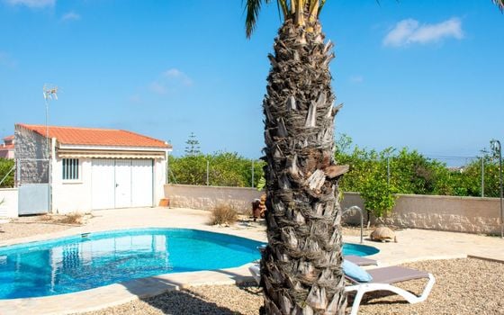 Villa de 3 chambres à Guardamar del Segura - SV81250 - Photo - Small - 36