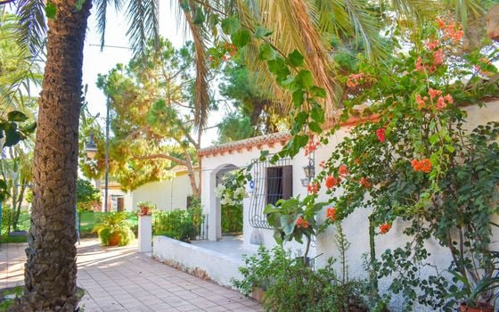 4 bedroom Villa in Orihuela Costa - SV81253 - Photo - Small - 31