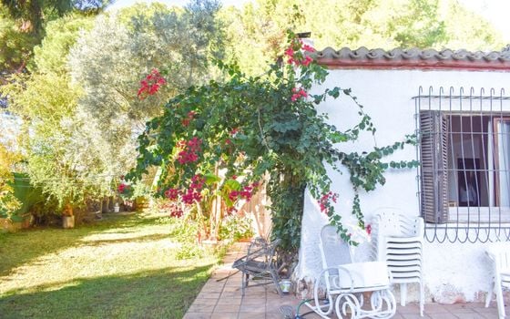 4 bedroom Villa in Orihuela Costa - SV81253 - Photo - Small - 23
