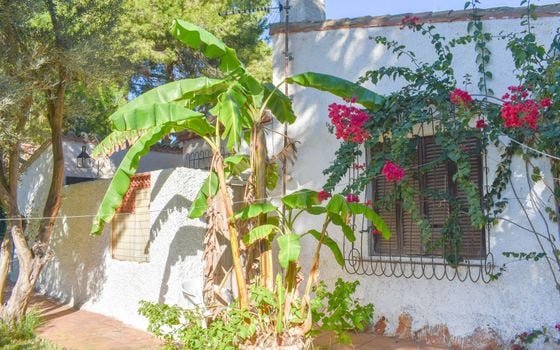 4 bedroom Villa in Orihuela Costa - SV81253 - Photo - Small - 35