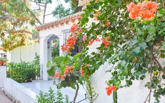 4 bedroom Villa in Orihuela Costa - SV81253 - Photo - Small - 37
