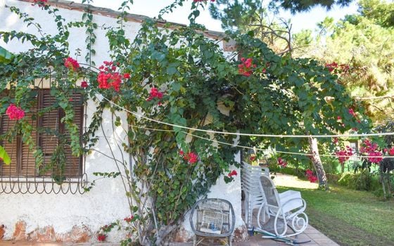4 bedroom Villa in Orihuela Costa - SV81253 - Photo - Small - 24