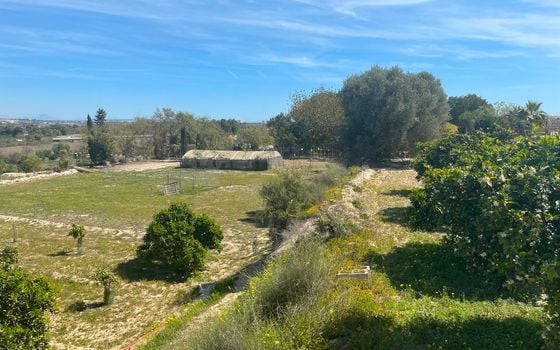 3 bedroom Villa in Rojales - SLN81629 - Photo - Small - 8