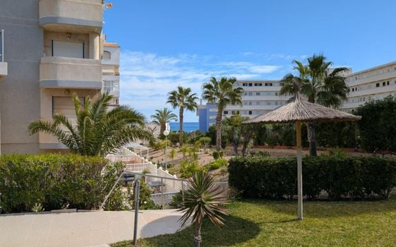 1 Schlafzimmer Appartement in Torrevieja - VEC81725 - Foto - Small - 16