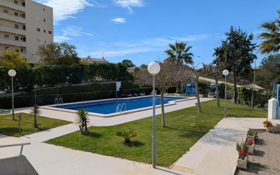 1 Schlafzimmer Appartement in Torrevieja - VEC81725 - Foto - Small - 10