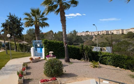 1 Schlafzimmer Appartement in Torrevieja - VEC81725 - Foto - Small - 12