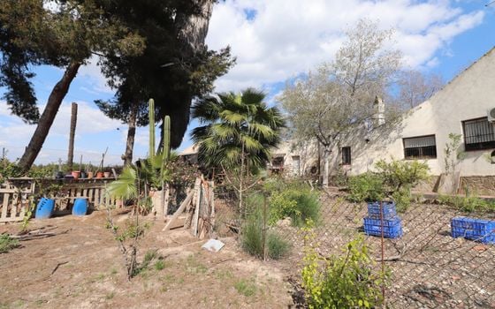 5 bedroom Villa in Almoradí - VRE82050 - Photo - Small - 29