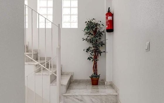 Apartament cu 3 dormitoare în Guardamar del Segura - AG82462 - Imagini - Small - 16