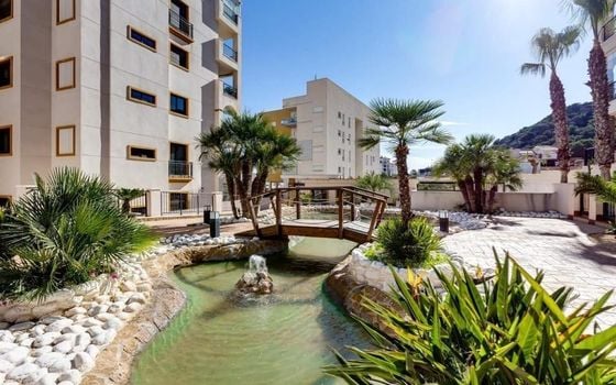 Apartament cu 3 dormitoare în Guardamar del Segura - AG82462 - Imagini - Small - 22
