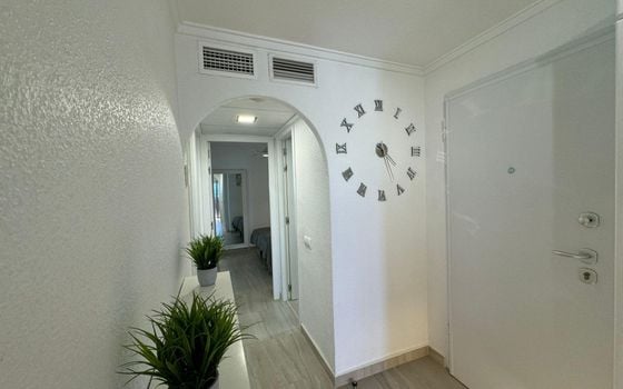 Ático de 2 habitaciones en Pilar de la Horadada - AG82477 - Foto - Small - 24