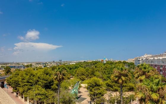 2 bedroom Apartment in Torrevieja - SV92659 - Photo - Small - 32
