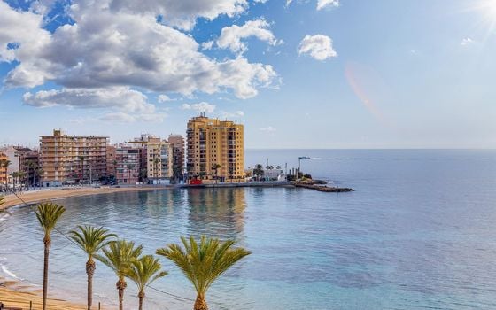 2 bedroom Apartment in Torrevieja - CYM146979 - Photo - Small - 37