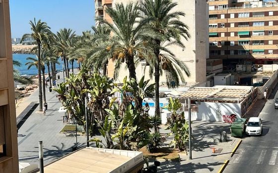 Appartement de 4 chambres à Torrevieja - SV82972 - Photo - Small - 24