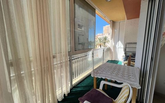 Appartement de 4 chambres à Torrevieja - SV82972 - Photo - Small - 22