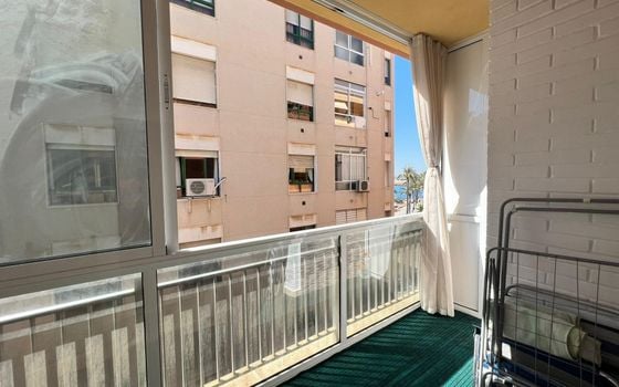 Appartement de 4 chambres à Torrevieja - SV82972 - Photo - Small - 23