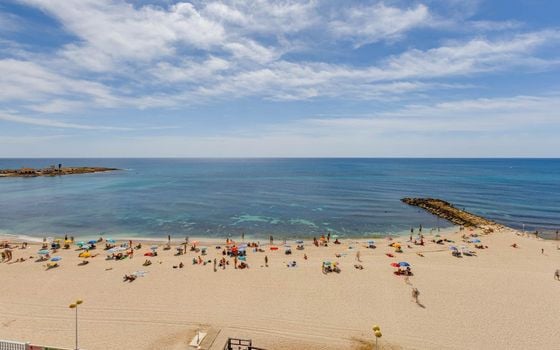 Appartement de 1 chambre à Torrevieja - HRE134641 - Photo - Small - 25