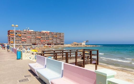 Appartement de 1 chambre à Torrevieja - HRE134641 - Photo - Small - 22