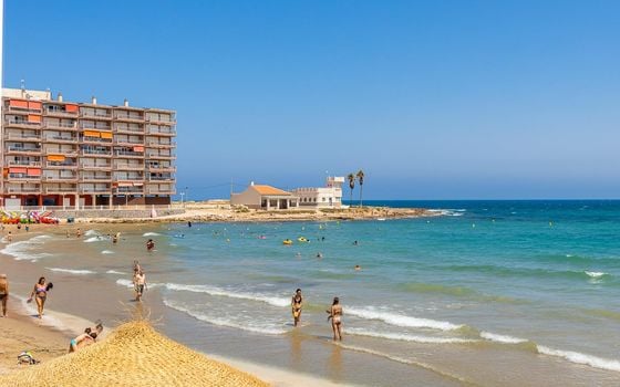 Appartement de 1 chambre à Torrevieja - HRE134641 - Photo - Small - 23