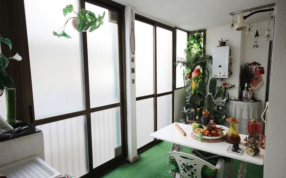 Appartement de 6 chambres à Benidorm - ABC83517 - Photo - Small - 17