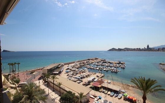 Appartement de 6 chambres à Benidorm - ABC83517 - Photo - Small - 20