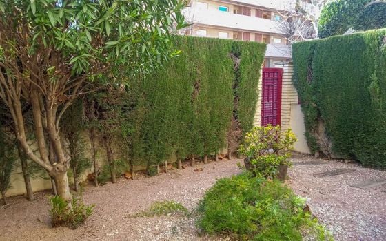Apartamento de 1 habitación en L'Albir - ABC83521 - Foto - Small - 12