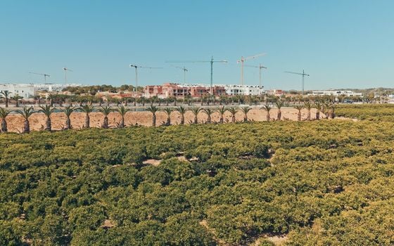 Bungalow de 2 chambres à Torrevieja - ONR120205 - Photo - Small - 38