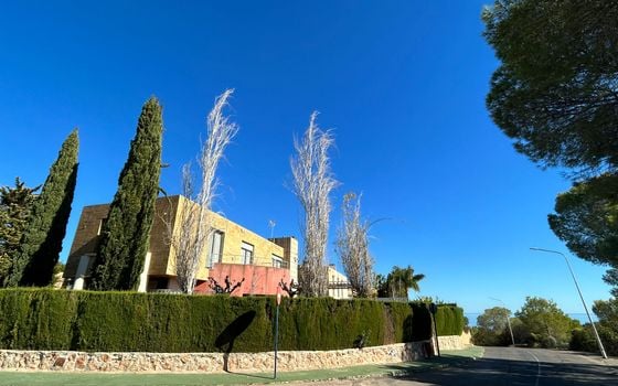 Villa de 4 chambres à Dehesa de Campoamor - SPH120553 - Photo - Small - 41