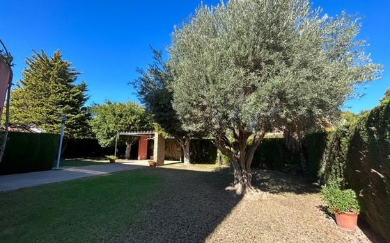Villa de 4 chambres à Dehesa de Campoamor - SPH120553 - Photo - Small - 30