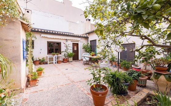 Villa de 8 chambres à Murcia - JJ84734 - Photo - Small - 45
