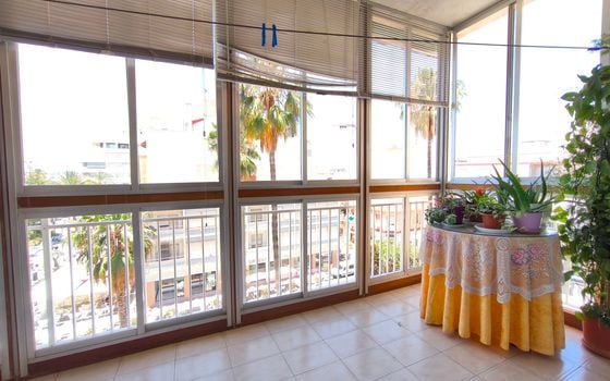 Appartement de 3 chambres à Torrevieja - ERV85300 - Photo - Small - 13