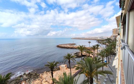 Appartement de 3 chambres à Torrevieja - ERV85304 - Photo - Small - 23