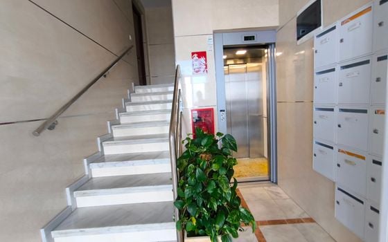 Appartement de 3 chambres à Torrevieja - ERV85304 - Photo - Small - 25