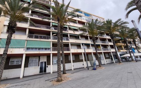 Appartement de 3 chambres à Torrevieja - ERV85304 - Photo - Small - 27