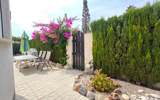 Vilă cu 3 dormitoare în Playa Flamenca - ERV85305 - Imagini - Small - 42