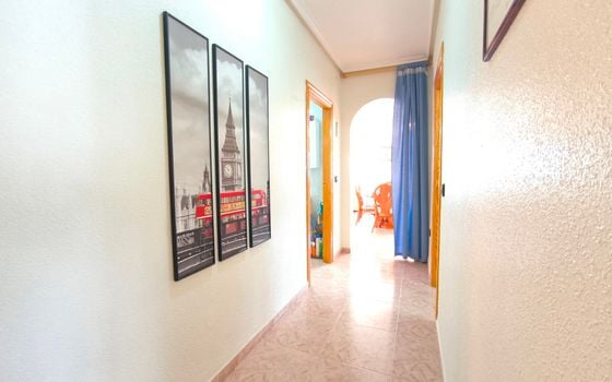Vilă cu 3 dormitoare în Playa Flamenca - ERV85305 - Imagini - Small - 24