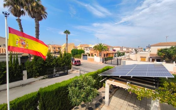 Vilă cu 3 dormitoare în Playa Flamenca - ERV85305 - Imagini - Small - 27