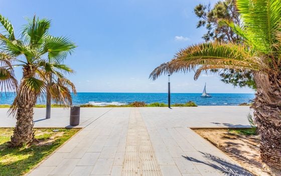 2 bedroom Townhouse in Torrevieja - GVS133632 - Photo - Small - 24
