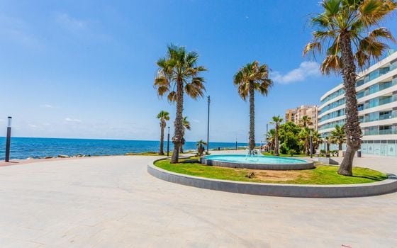 2 bedroom Townhouse in Torrevieja - GVS133632 - Photo - Small - 25
