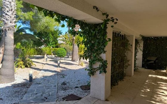 Villa de 5 chambres à Torrevieja - SV88368 - Photo - Small - 19