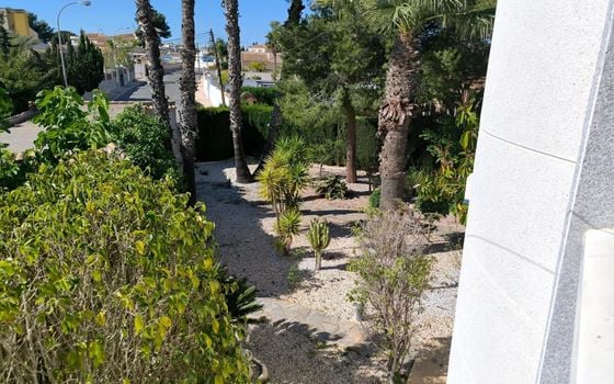 Villa de 5 chambres à Torrevieja - SV88368 - Photo - Small - 24