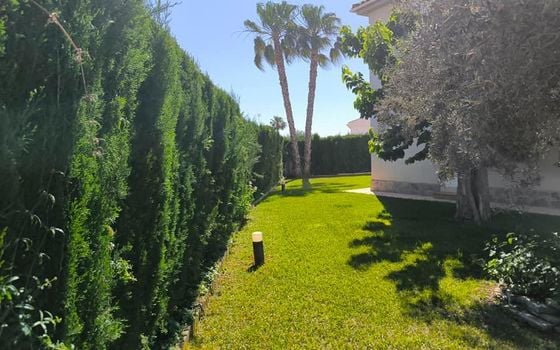 Villa de 5 chambres à Torrevieja - SV88368 - Photo - Small - 23